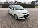 Fiat Panda - Fiat Panda mit CNG-Antrieb