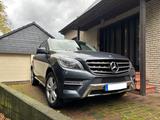 Mercedes-Benz ML 350 BlueTEC 4MATIC - AMG Ext. - AHK - Mercedes-Benz ML 350 in Wuppertal