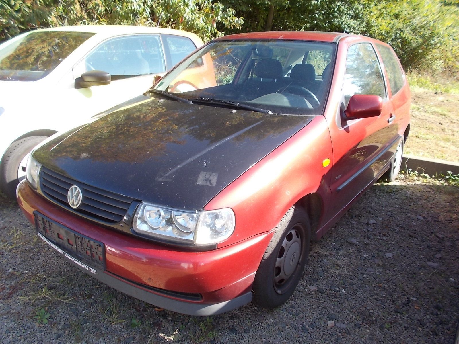 Fahrzeugabbildung Volkswagen Polo 1.0 45 PS + wenig Kilometer