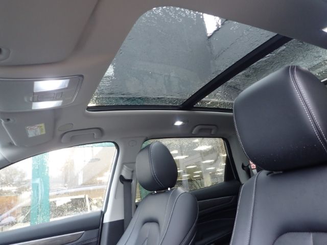 Fahrzeugabbildung DFSK Fengon E5 PHEV El. Panodach digitales Cockpit So