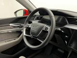 Audi e-tron 55 Quattro S Line Luft Pano21AHK - rote Audi e-tron