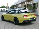 Ford Mustang GT Cabrio AT 5.0L V8 NitePony Magneride - gebrauchte Ford Cabrios