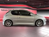 Peugeot 206 Quiksilver - Peugeot 206: Quiksilver