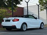 BMW Cabrio 218 i M Sport Paket Leder Navi LED - BMW 2er Reihe: M Paket