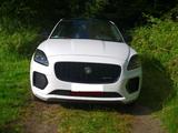 Jaguar E-Pace D200 R-DYNAMIC HSE AWD Auto R-DYNAMIC HSE - Jaguar E-Pace aus 2023