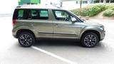 Skoda Yeti 1.4 TSI DSG Adventure Xenon Inspektion neu - Skoda Yeti: Grün