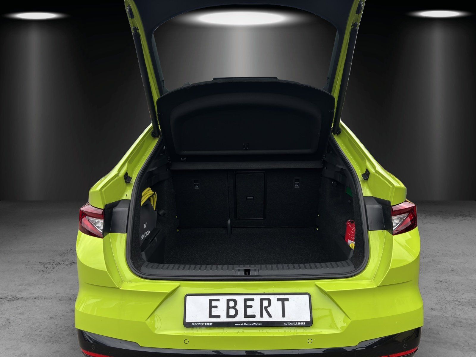 Fahrzeugabbildung SKODA Enyaq Coupe RS (ab MJ23.2)