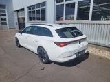 Cupra Leon 2.0 TDI DSG Navi|ACC|RFK|LED - Cupra Gebrauchtwagen von 2024