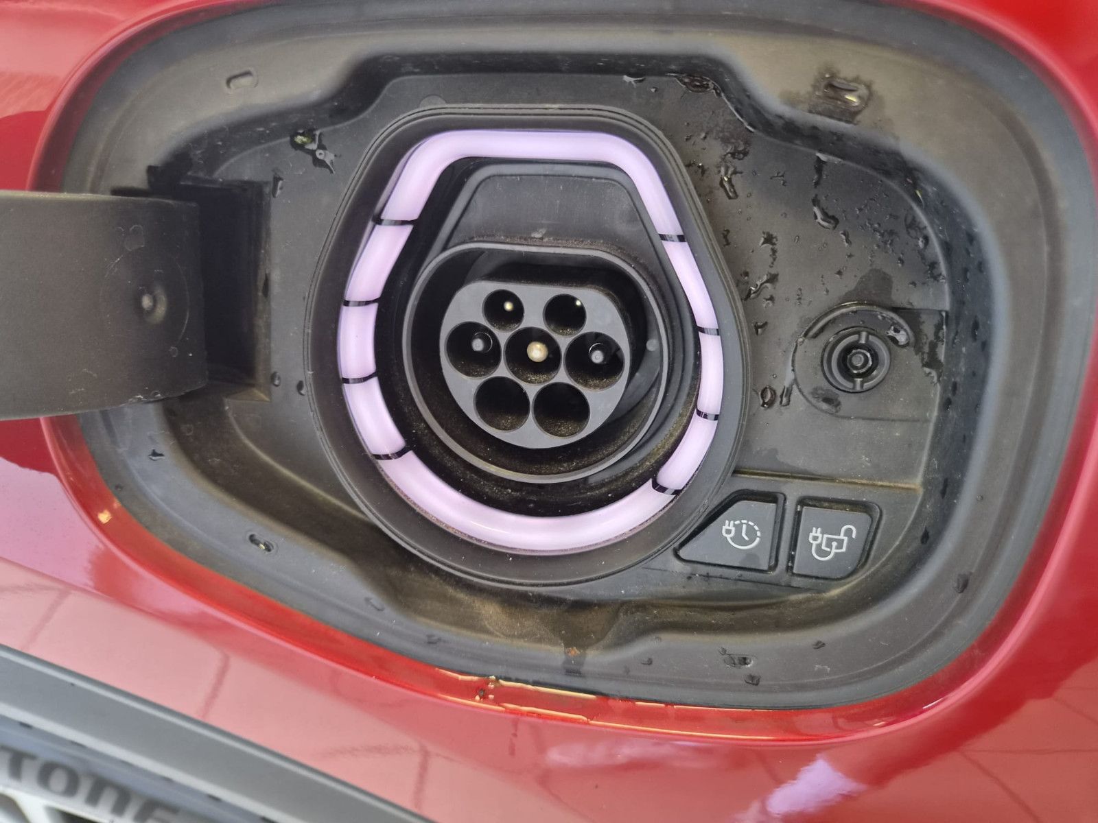 Fahrzeugabbildung Ford Kuga Plug-In Hybrid Titanium / SCHECKHEFT