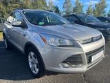 Ford Escape Kuga 1.6 EcoBoost Automatic RFK+PANO - Ford: Automatic