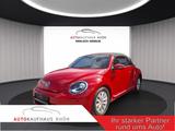 Volkswagen Beetle 1.2 TSI Design BMT, BiXenon, SHZ, Temp. - Volkswagen: De