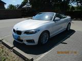 BMW 218d Cabrio M-Sport Vollleder M-Paket - BMW 218 von privat