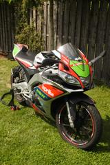 Aprilia RS 125 GP Replica - APRILIA REPLICA