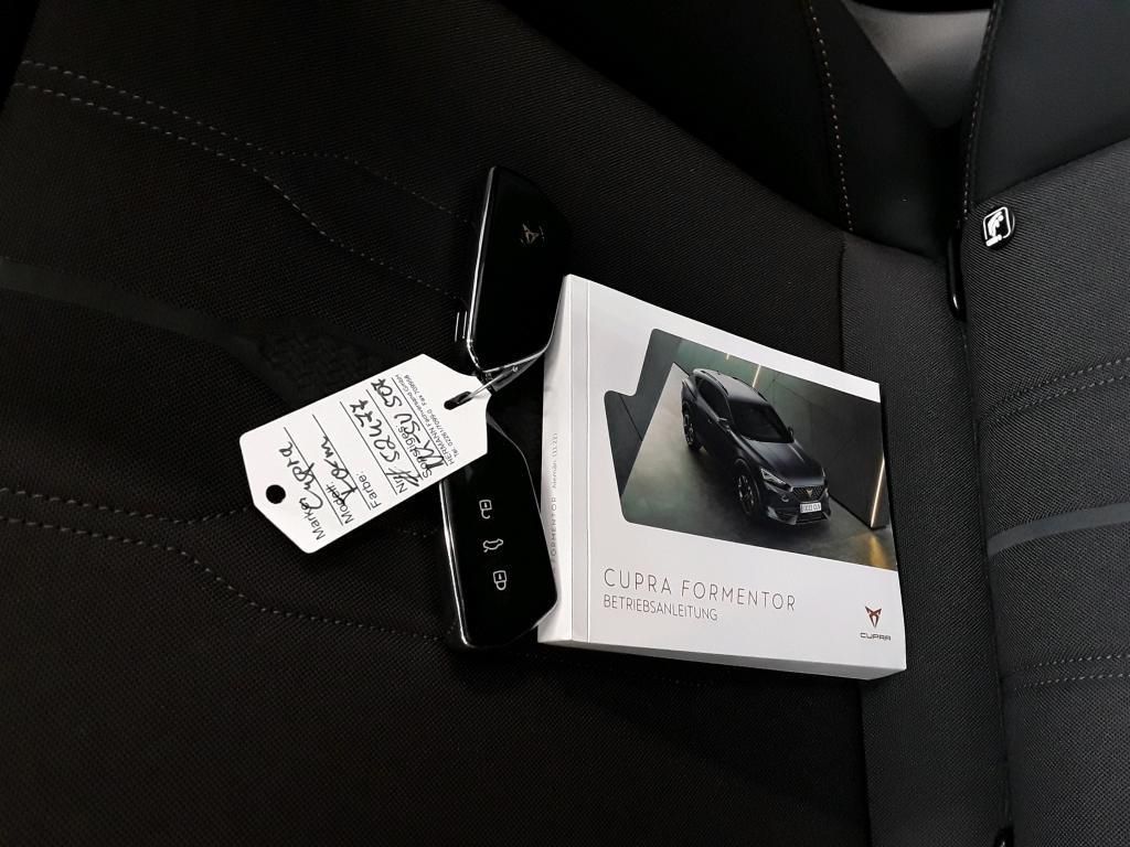 Cupra Formentor 1.5 TSI Klima*Tempo*PDC*