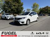 Honda Jazz 1.3 i-VTEC Comfort AHK|SHZ|Temp|PDC - Honda Jazz Gebrauchtwagen in Chemnitz