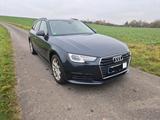 Audi AUDI A4 2.0 TDI design Avant design Busine... - Audi 80 B4