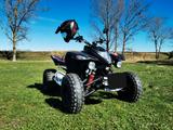 Beeline Quad Beeline Bestia 5.5 LOV  sehr gepflegt - BEELINE MOTORRAD