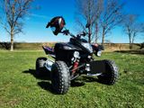 Beeline Quad Beeline Bestia 5.5 LOV  sehr gepflegt - BEELINE BENZIN QUAD