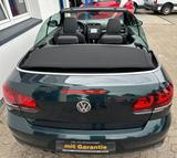 Volkswagen Golf VI Cabriolet Allstar in "DARK MOSS GREEN" - : Grün