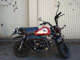 Skyteam Monkey 50cc / SKYMINI ST50-8 - SKYTEAM MOTORRAD