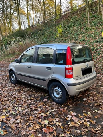 Fiat Panda 1.2 // TÜV 06/2025 // 159.000km...