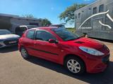 Peugeot 206 + Basis - Peugeot 206: Rot