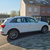 Audi Q5 2.0 TDI 140kW S tronic quattro - 2×S-line - Audi in Dortmund: Q1