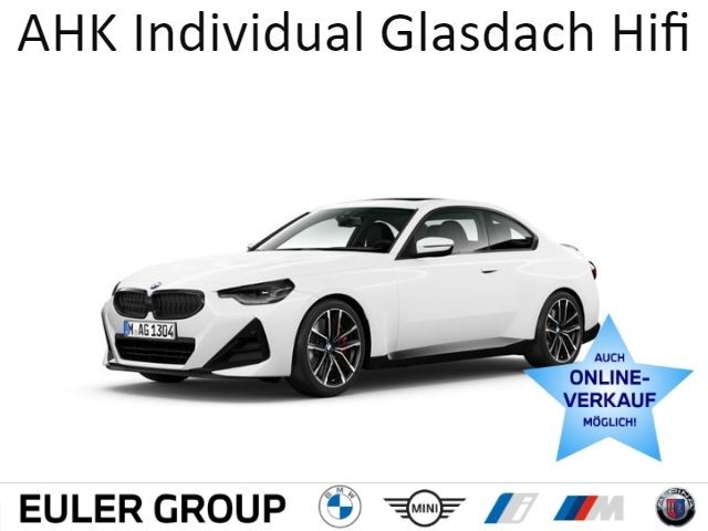 BMW 220 i M-Sport PRO Sommer19'' AHK Individual Glas