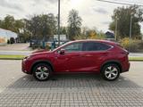 Lexus NX 300 300h E-FOUR Luxury Line Luxury Line - Lexus NX 300: H