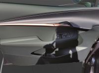 Cupra Tavascan - Vorschau Bild 16