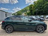 Alfa Romeo Stelvio 2.0 Veloce Q4 ACC Assist-Pkt CarPlay SHZ - Alfa Romeo: Grün