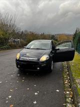 Fiat Punto Evo 1.2 8V Active Active - Fiat Punto Evo in Wuppertal