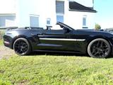 Ford Mustang 5.0 Ti-VCT V8 Black Shadow Edition A... - Ford Mustang: Black Shadow Edition