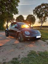 Volkswagen New Beetle Schwarz 1.9 TDI - Volkswagen Beetle: New