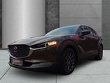 Mazda CX-30 Selection 2WD - Mazda aus 2020