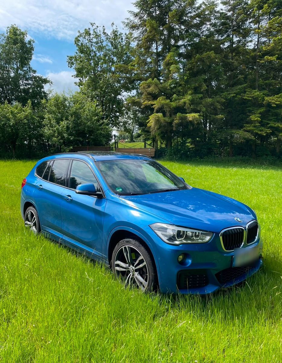 BMW BMW X1 M-Sport 231 ps