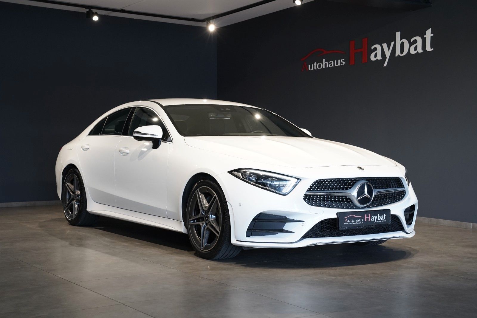 MERCEDES-BENZ CLS 220d AMG-Comand-MBeam-Kamera-AHK