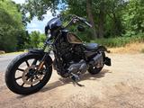 Harley-Davidson XL 1200 Sportster NS Iron - HARLEY-DAVIDSON SPORTSTER XL 1200NS IRON