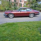 Jaguar XJS 4.0 - Jaguar aus 1993