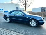 Mercedes-Benz CLK 320 Cabrio 2.Besitz*Elegance*Sommefahrzeug - Mercedes-Benz CLK 320 aus 1999: Cabrio