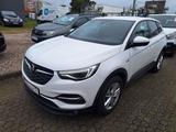 Opel Grandland (X) Business Edition NAVI KAMERA LEDER - Opel Grandland (X) in Rostock