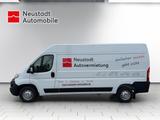 Opel Movano Cargo L3H2 3.5t Holzboden, Seitenwandverk - Tier-/Pferdetransport