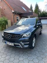 Mercedes-Benz ML 350 BlueTEC 4MATIC - Airmatic, AMG, Distronic - Mercedes-Benz ML 350 aus 2014