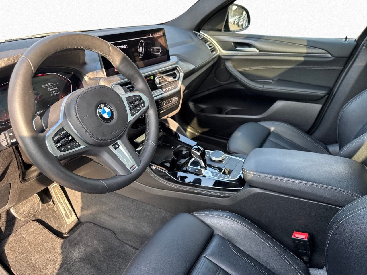 BMW X4 - Bild 17