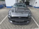 Ford Mustang GT Fastback - Ford Mustang: Fast