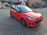 Hyundai i20 1.2 62kW Pure Pure - Hyundai i20 Pure mit Benzin-Antrieb