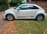 Volkswagen Beetle (Käfer) - Volkswagen: Kaefer