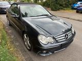 Mercedes-Benz CLK 320 CDI ELEGANCE ELEGANCE Cabrio - Mercedes-Benz CLK 320 Gebrauchtwagen