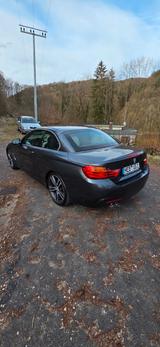 BMW 420d Cabrio M Sport,Navi Prof.,Rfk,Leder, - BMW 420: Cabrio