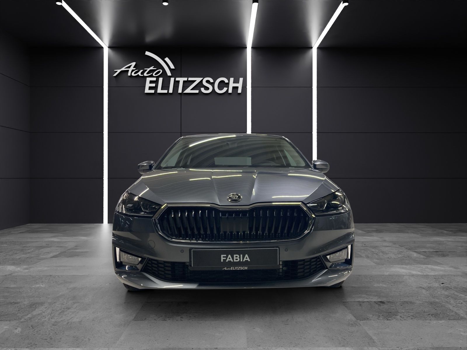 Fahrzeugabbildung SKODA Fabia TOUR LED NSW CLIMA KESSY